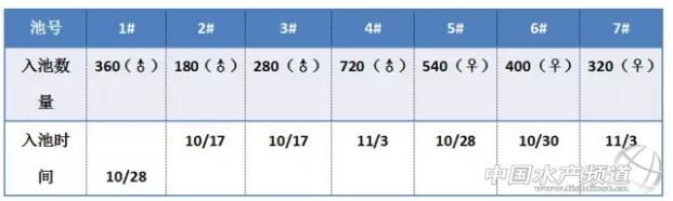 澳洲小龙虾养殖的9个注意事项