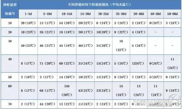 澳洲小龙虾养殖的9个注意事项