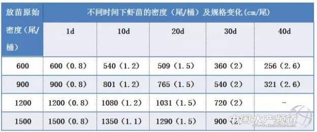 澳洲小龙虾养殖的9个注意事项