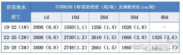 澳洲小龙虾养殖的9个注意事项