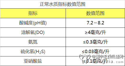 错过小龙虾这些放苗注意事项干货，你可能会哭晕在塘边