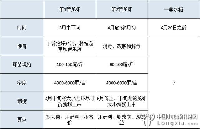 2+1虾稻轮作模式操作要点全面讲解