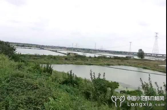 小龙虾养殖也要依附于“风水宝地”？当然！