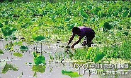 10月管理做得好，来年利润双丰收！