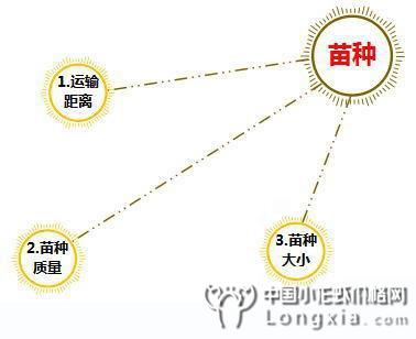 如何拯救你的小龙虾“放苗存活率低”这件事？