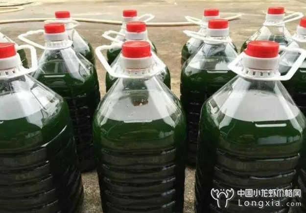 养虾之人，把“肥水”理解成“水肥”那就糟了！