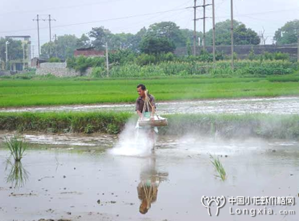 虾塘水体溶氧却不知道原因？在这为你揭开谜底！