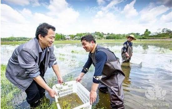 人生病了可以去医院，小龙虾生病了应该怎么办？