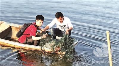 我国小龙虾市场越来越火热，你还不赶快来学习如何饲养小龙虾？