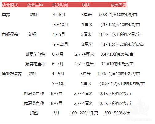 高效池塘养殖小龙虾虾苗投放技术，你真的知道嘛