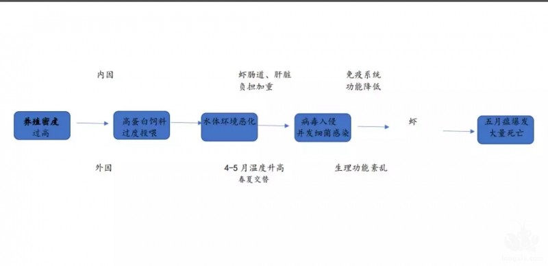 小龙虾的“黑色五月”即将到来！教你几招轻松送走“五月瘟”