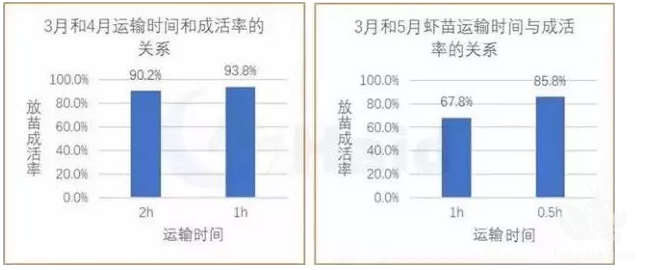 小龙虾养殖的时候死亡原因都有这些