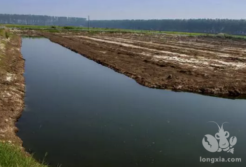 在夏季高温，要怎样管理好养殖塘口呢？