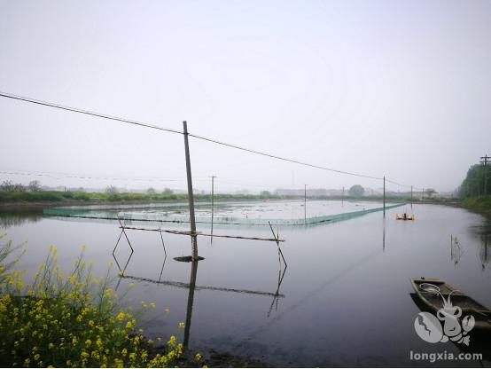 三种不同模式的小龙虾养殖水位管理小技巧(值得珍藏)