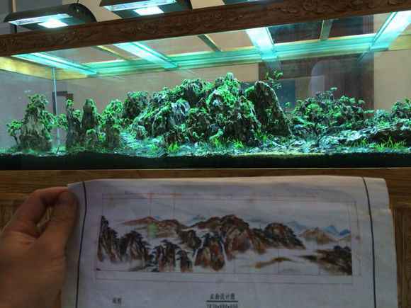 松皮石2.8米大缸山景造景图片欣赏