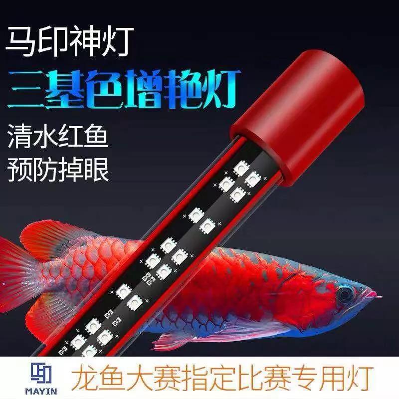 玩儿水族赢现金大奖！“缤纷水族”观赏鱼摄影大赛，豪礼等你拿！