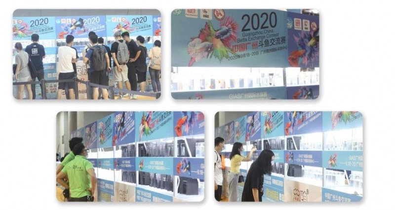 2021GIAS广州国际水族展为水族行业发声，从发展到成熟需要多久？