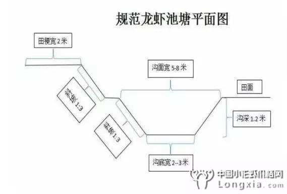 规范龙虾池塘建设“四要素”，附虾塘设计平面图