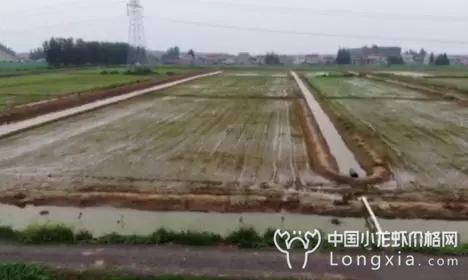 规范龙虾池塘建设“四要素”，附虾塘设计平面图