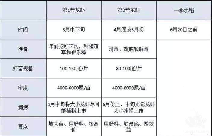 2+1虾稻轮作模式