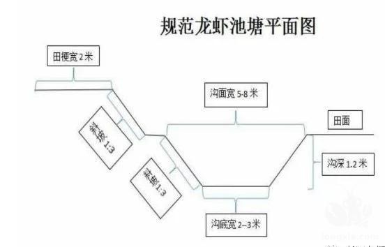 小龙虾经典养殖模式稻田与精养池塘开挖