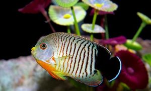 200909104052304
