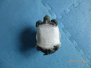 220320A07-0.jpg