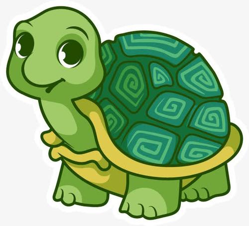 安布龟吃什么 安布龟一般吃水生植物为主