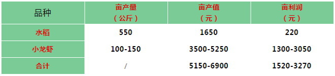 新型农作模式：一只小龙虾如何带动一片稻？