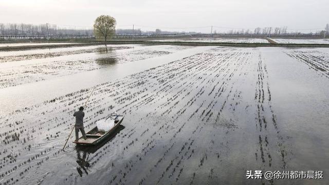 徐州这里养殖的龙虾，一列纵队能排到西安