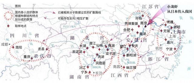 小龙虾入侵中国，长江已“失守”，养殖产量却高达208万吨？