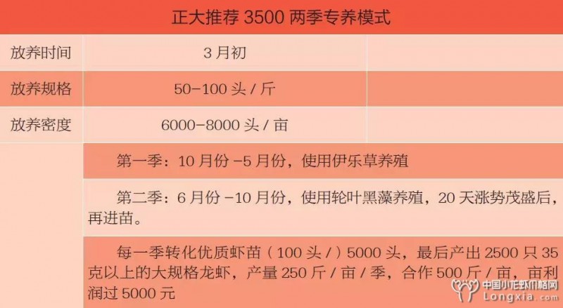 这里是全国小龙虾亩产最高的地方，日流通量达20万斤