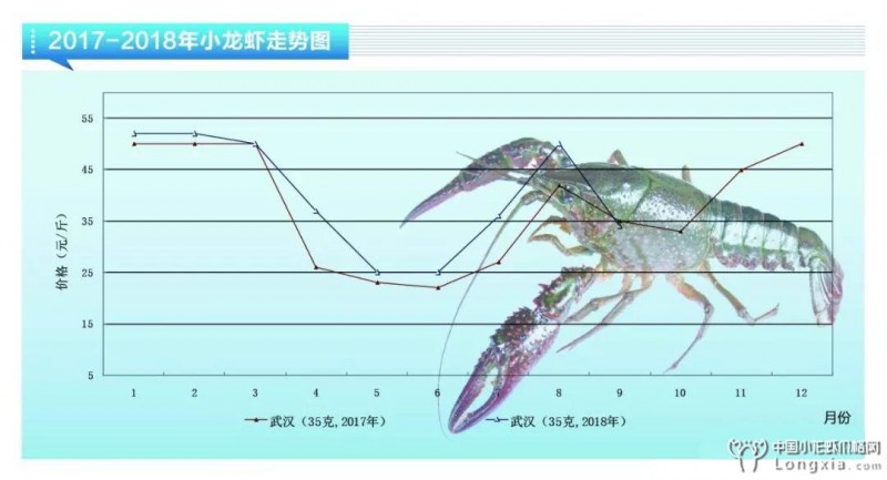 2018年10月小龙虾行情走势，小高峰期走量不减