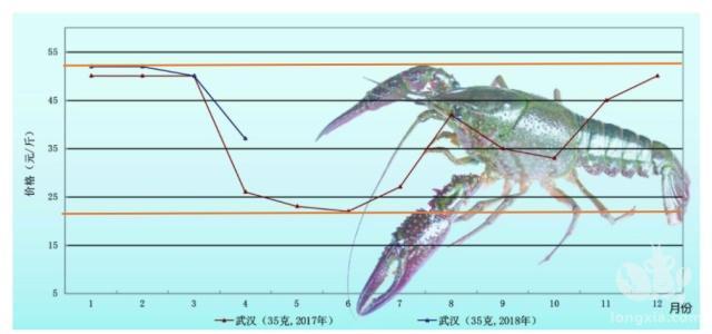 小龙虾价格波动这么大，为何没人低价屯虾高价卖？