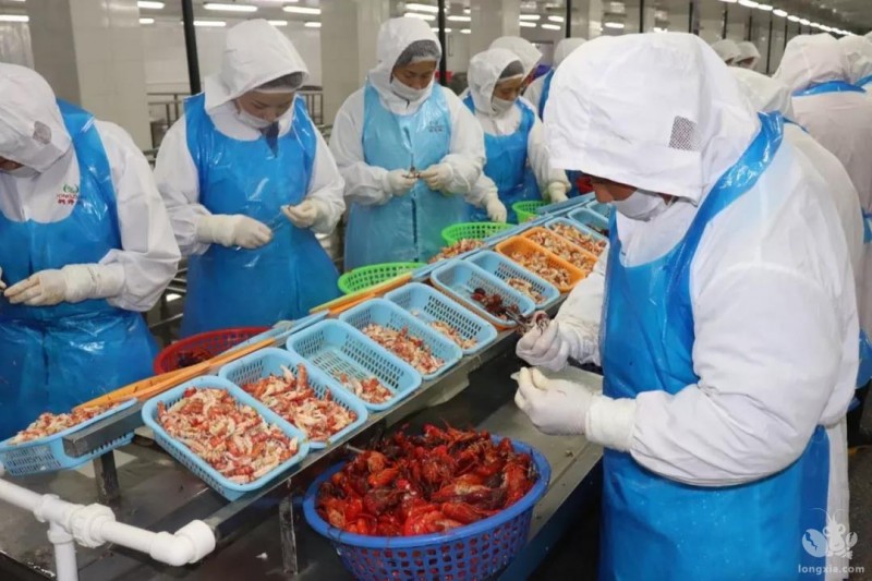 从田间到餐桌，小龙虾抢先上市，直通餐饮商超