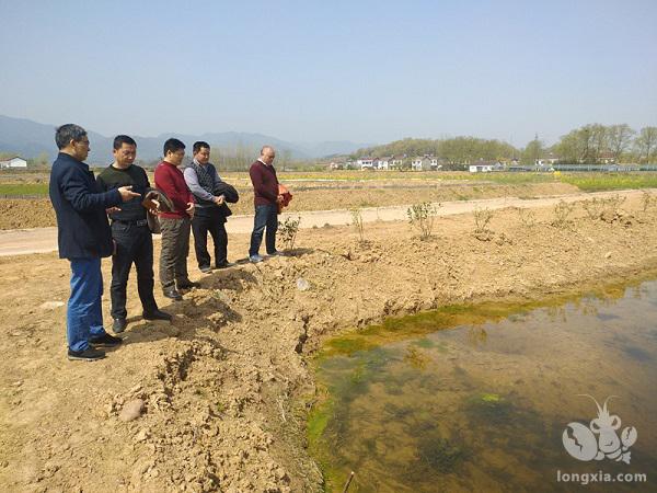 湖北省宜昌市水产站赴远安县开展小龙虾养殖技术指导