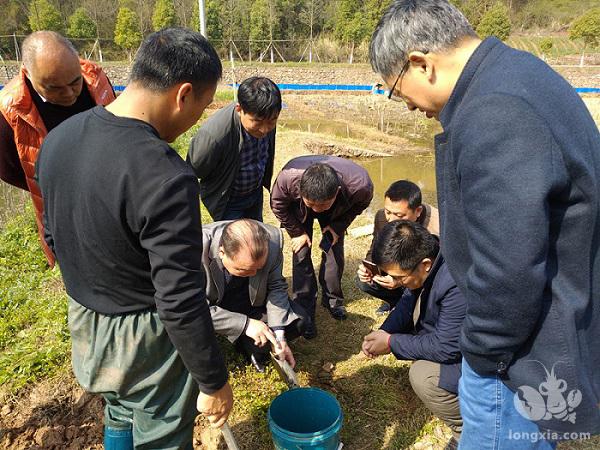 湖北荆门漳河新区：小龙虾养殖技术培训助力精准扶贫