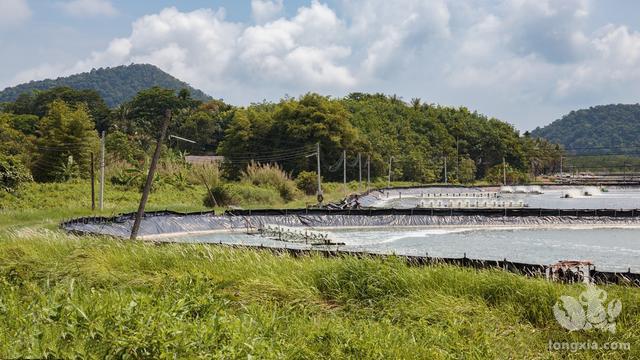 2022年安徽省稻渔综合种养将达600万亩