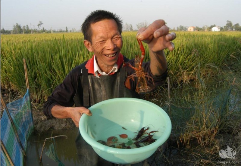 砚山税务：小龙虾钳出大财富