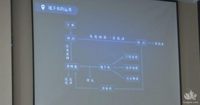 小龙虾居然能用地下水进行养殖，不仅不缺营养一年还赚十几万！真的可行吗？