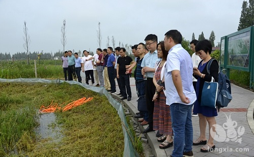 湖南省益阳市南县有望获得“中国生态小龙虾之乡”称号