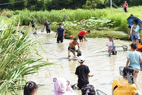 “畅游黄山西门 品鉴生态稻虾”-安徽黄山焦村镇顺利举办第三届生态稻虾美食文化节