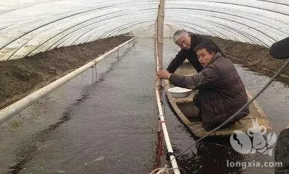 小龙虾的明天将何去何从？养殖户们接下来的出路是什么？