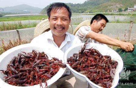 逃过了“木恩”又来“利奇马”？十六级台风来袭，虾农该如何应对