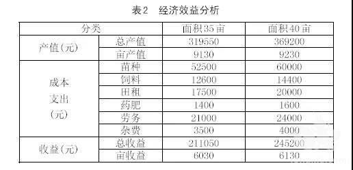 亩产超3000元！全面起底小龙虾养殖模式之江西篇！