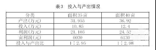 亩产超3000元！全面起底小龙虾养殖模式之江西篇！