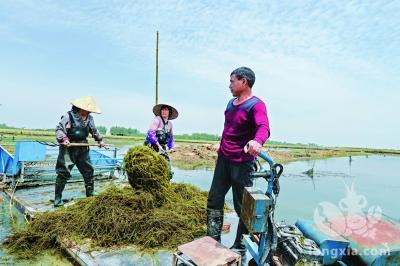 湖北武汉市：疫情影响小龙虾销售 试水线上供货