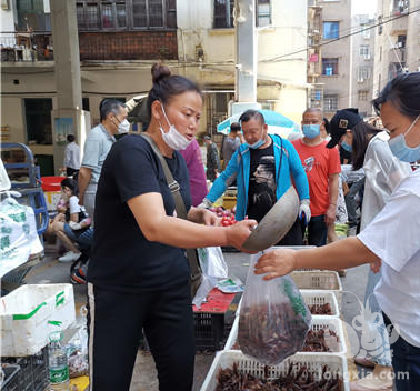 湖北荆州“小”龙虾价格“大跳水” 市民排队抢着买