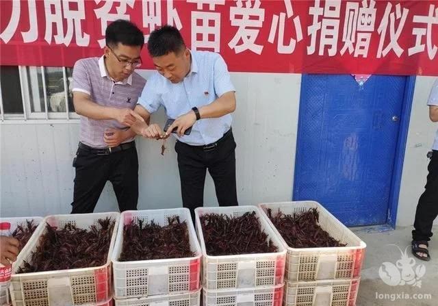 河南省南阳市桐柏县月河镇：爱心捐赠龙虾苗 助力扶贫暖人心