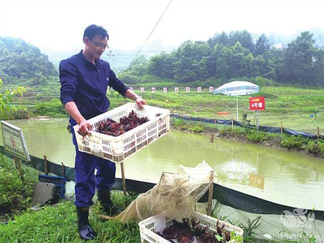 发展淡水养殖 做活山水文章